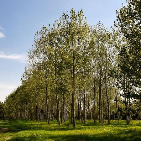 Masseria Giosole Капуа Экстерьер фото