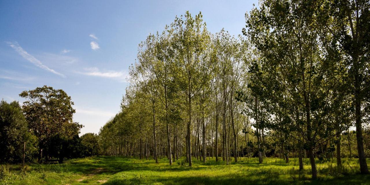 Masseria Giosole Капуа Экстерьер фото